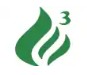 3GAS