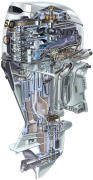Honda Kraftstoff Benzin -Stecker Honda Kraftstoff Benzin -Stecker