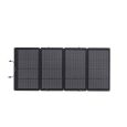 EcoFlow 220W Bifaziales Solarpanel