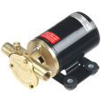  Johnson Impellerpumpe F3B-19-12V