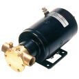  Johnson Impellerpumpe F5B-19-24V   55 l/min