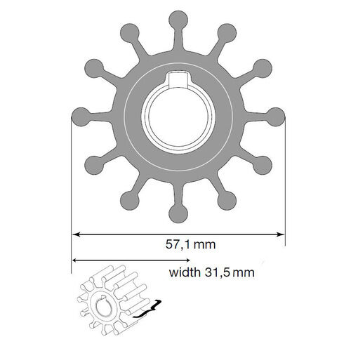  Johnson Impeller