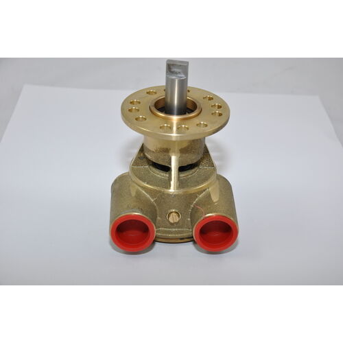 Johnson Impellerpumpe F5B-9 Johnson Impellerpumpe F5B-9
