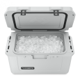 Dometic Eisbox-Passivkühlbox Patrol 55 -  Farbe: Nebelgrau