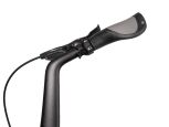 Lupine SL MiniMax Classic
