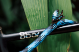 Texlock mate Morpho Blue